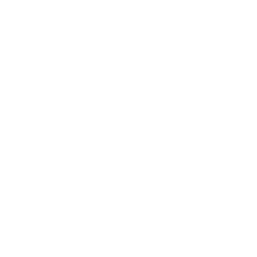 expert logo